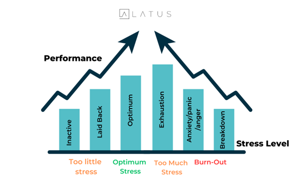 Unlocking the Power of Stress: How Stress Can Fuel Your Success